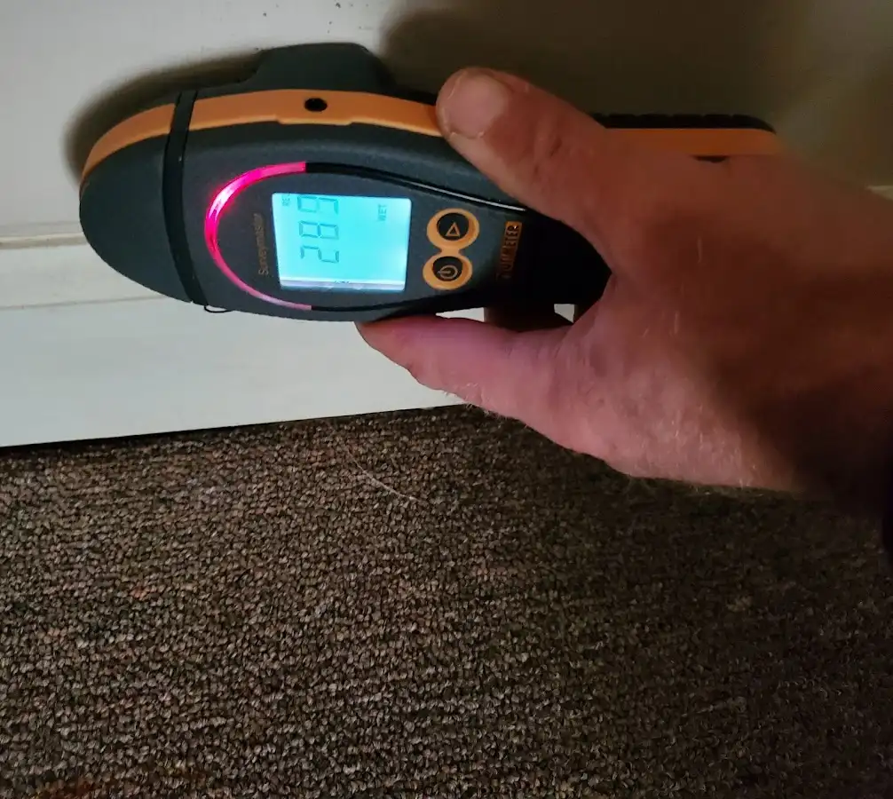 Moisture detection at baseboard during Sewage Cleanup & Sanitation in Granite Shoals
